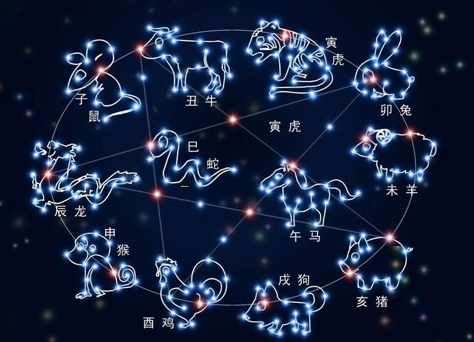 天罗地网中的智慧与力量，揭秘最佳生肖答案