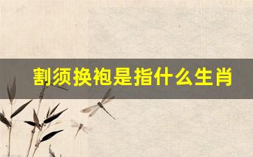 割须换袍，解读生肖的象征意义与智慧内涵