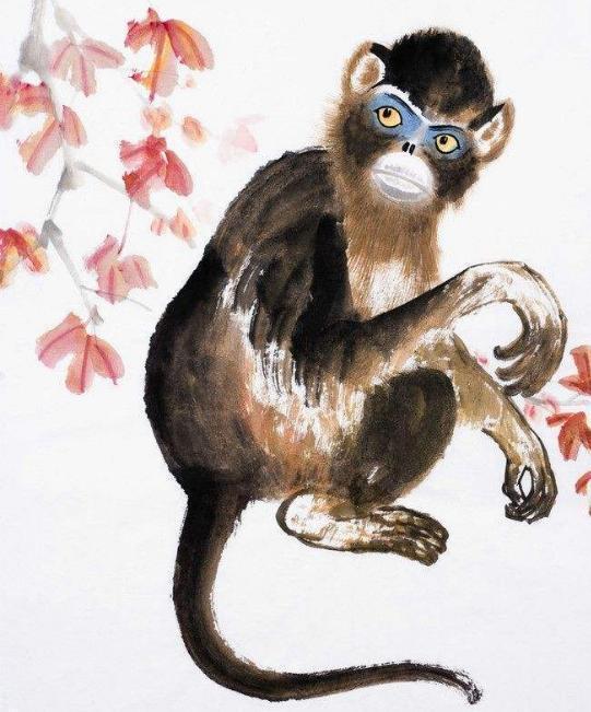 生肖猴的解读与反思，趁火打劫揭示其特性
