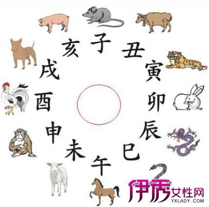 生肖之谜与丢眉弄色的秘密