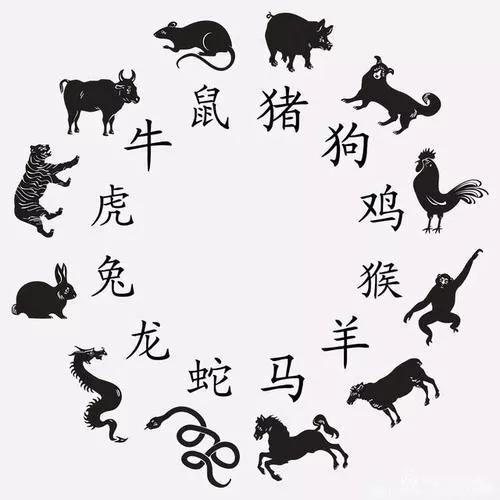 七上八落背后的生肖之谜