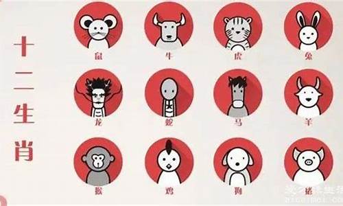 揭秘生肖奥秘，三五接五配一三所指的生肖是什么？