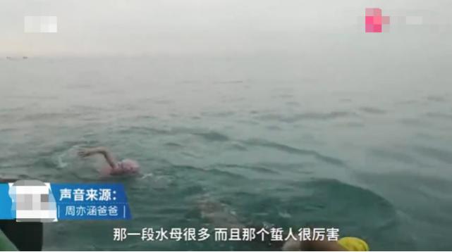 生肖文化中的智慧启示，古今演绎与生肖智慧探索