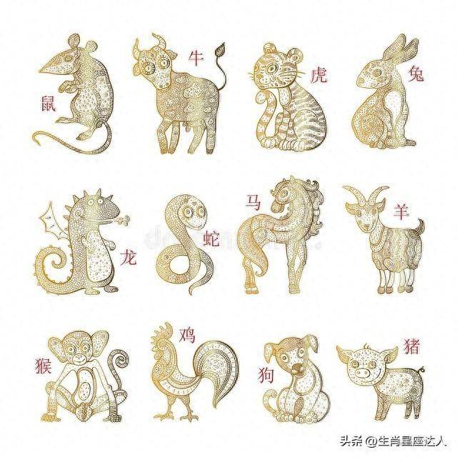 风靡一世的神秘生肖传奇