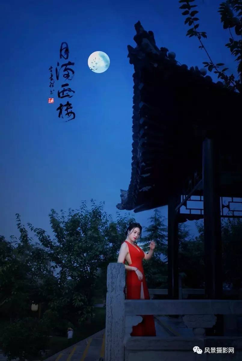 月满西楼背后的神秘动物揭晓时刻