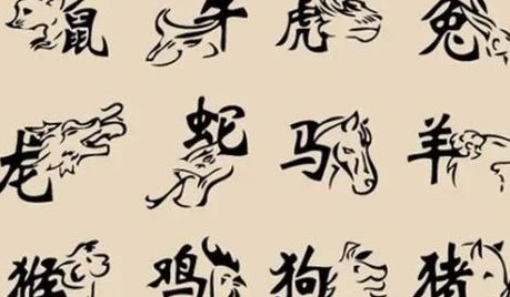 揭秘生肖中的七手八脚奇特动物