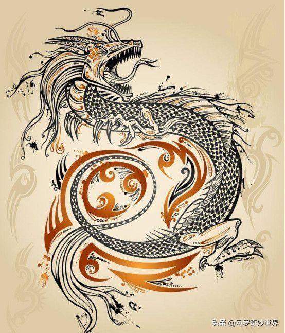 雷大雨小与生肖智慧深度解析，探寻最佳生肖特质与智慧之道
