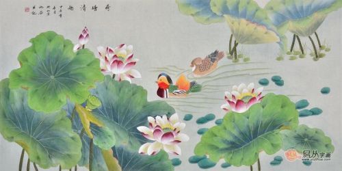 揭秘生肖浪漫与智慧，鸳鸯戏水映生肖故事展