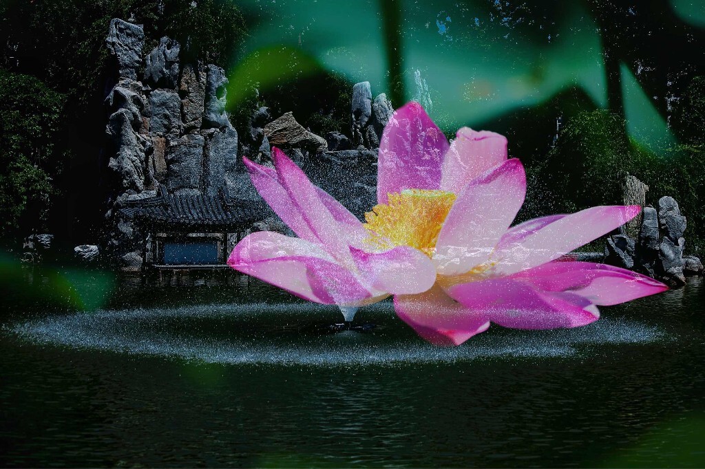 出水芙蓉映生肖，风华绝代传千年的文化之美