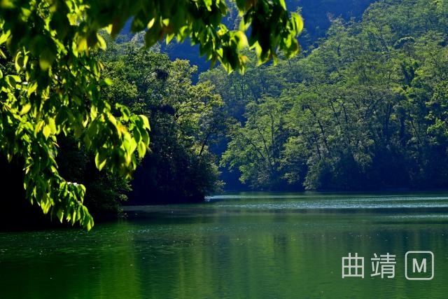 竹绿小山下，生肖神韵映景来