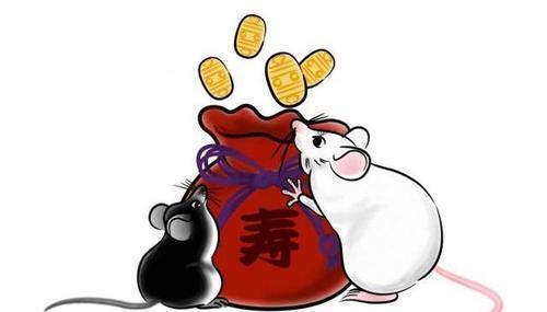 揭秘生肖中的双面性格秘密