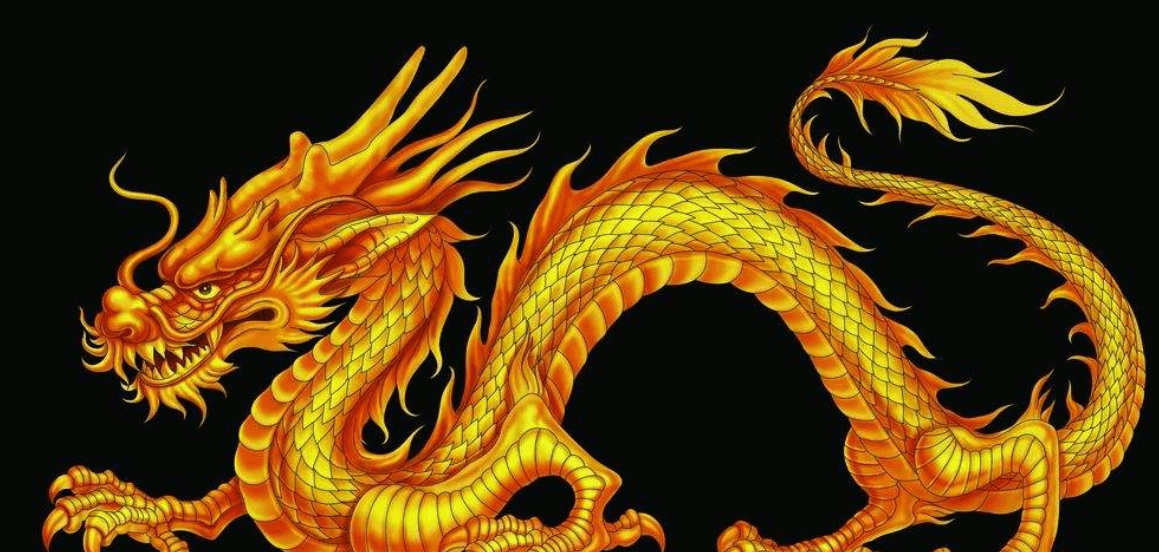 生肖龙，光辉传奇，出人头地的传奇之路