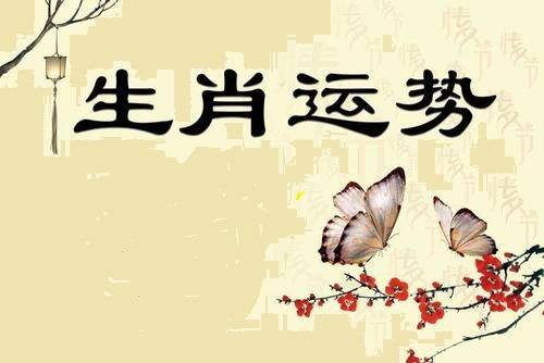 心口如一解正确生肖，探寻真诚与信任背后的生肖文化魅力