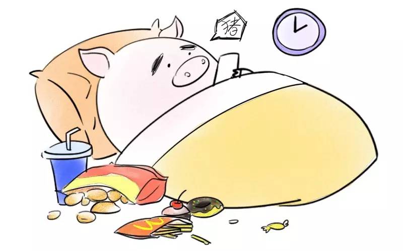 三餐不饱背后的生肖奥秘探索