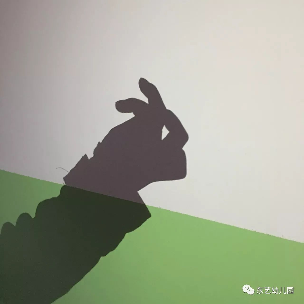 揭秘生肖与影子神秘联系，立竿见影猜生肖！