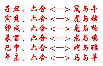 二七合三起一六揭秘生肖之谜