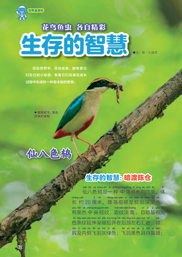 生肖智慧与生命活力，一息善存探寻之旅