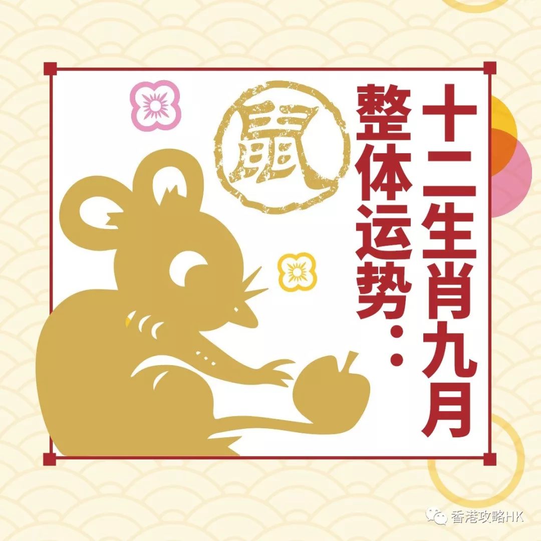 愁肠九转与生肖之谜探秘