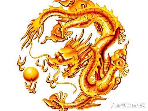 龙行风雨西方来，生肖的象征意义解读