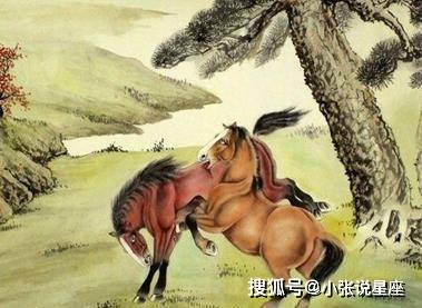 解密生肖之谜，日薄西山动物的生肖象征揭晓