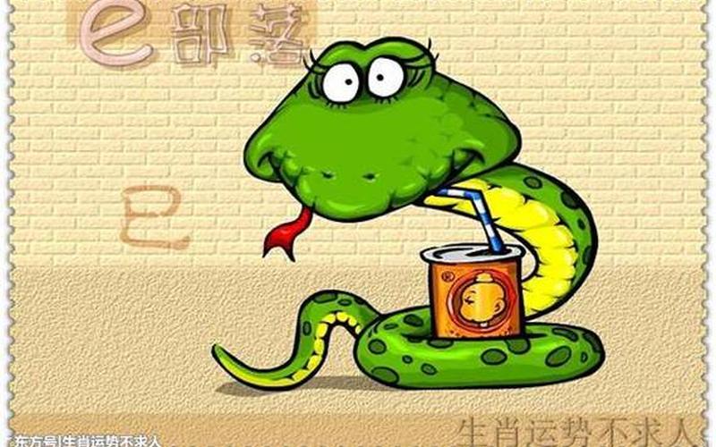 生肖之谜，探寻难以捉摸的生肖秘密