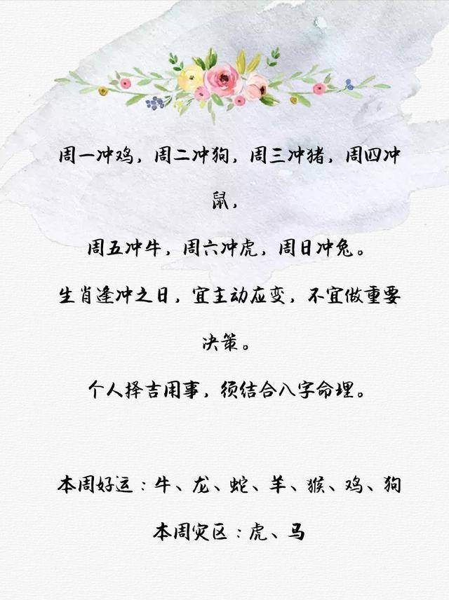 揭秘生肖预测的神秘面纱，暗中盘算，精准预测正一肖
