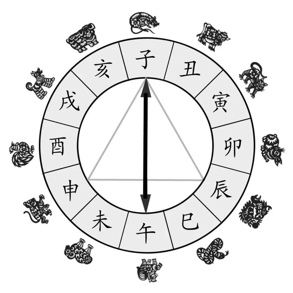 四方来朝，揭秘生肖王者风采