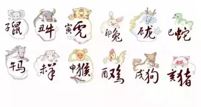 揭秘生肖之谜，探寻古今未解之谜的生肖揭晓答案