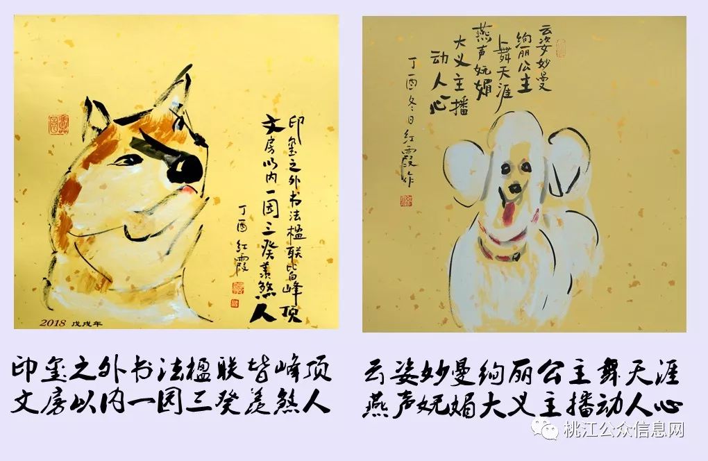 崇洋媚外的生肖，文化现象背后的生肖隐喻探究