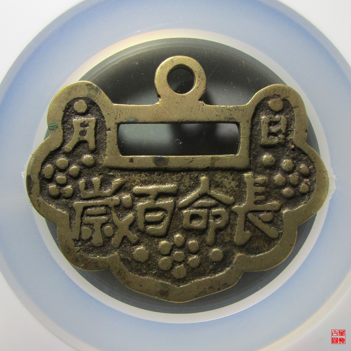 长命百岁与生肖奇缘，神秘关联揭秘