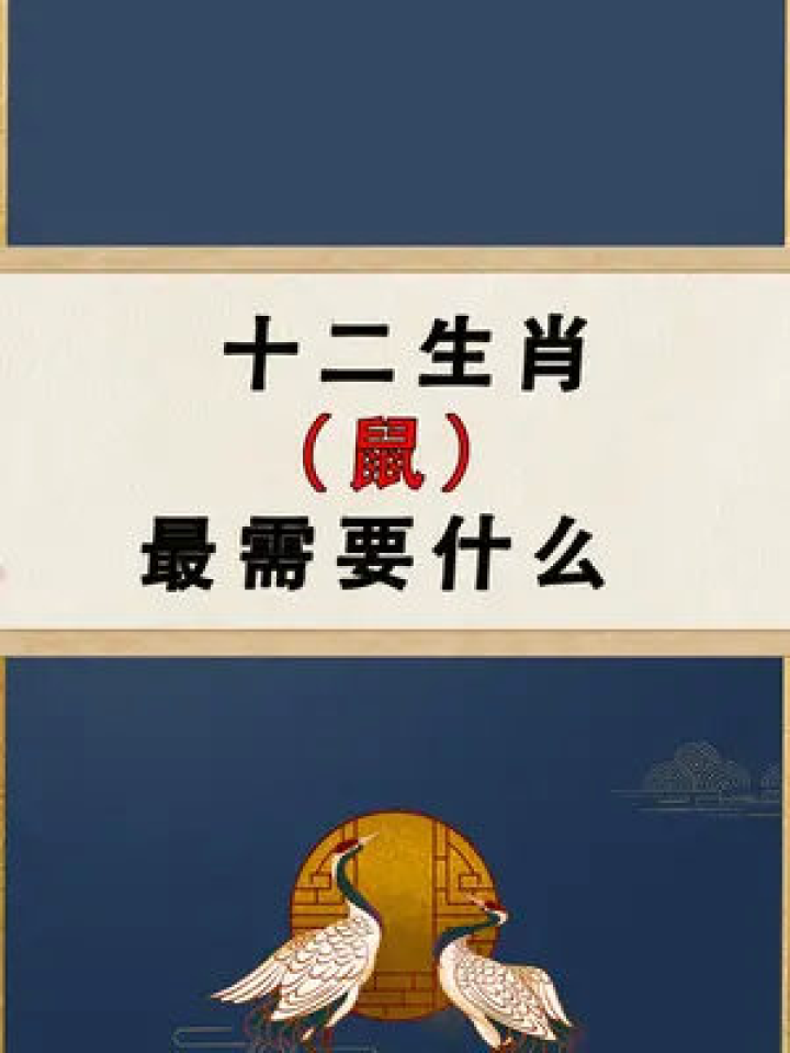 五讲四美与生肖的奇妙交融