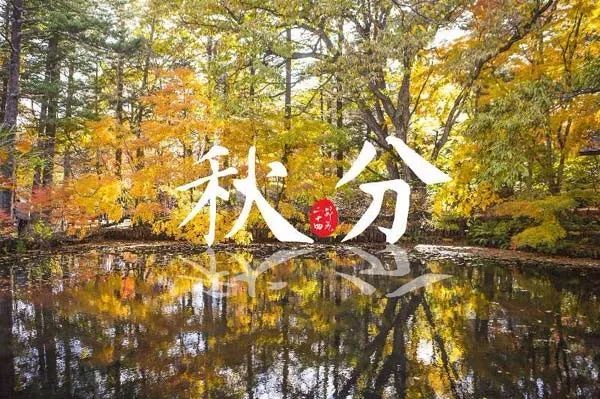 平分秋色，探寻生肖奥秘的奥秘