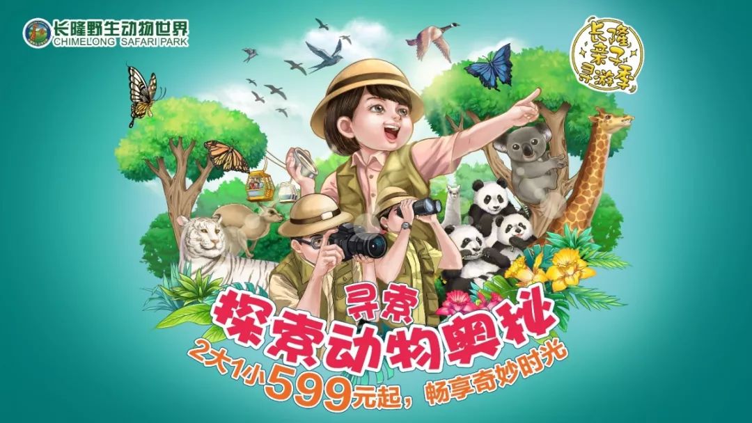 生肖之谜，探寻神秘魅力的逗留不进猜一生肖