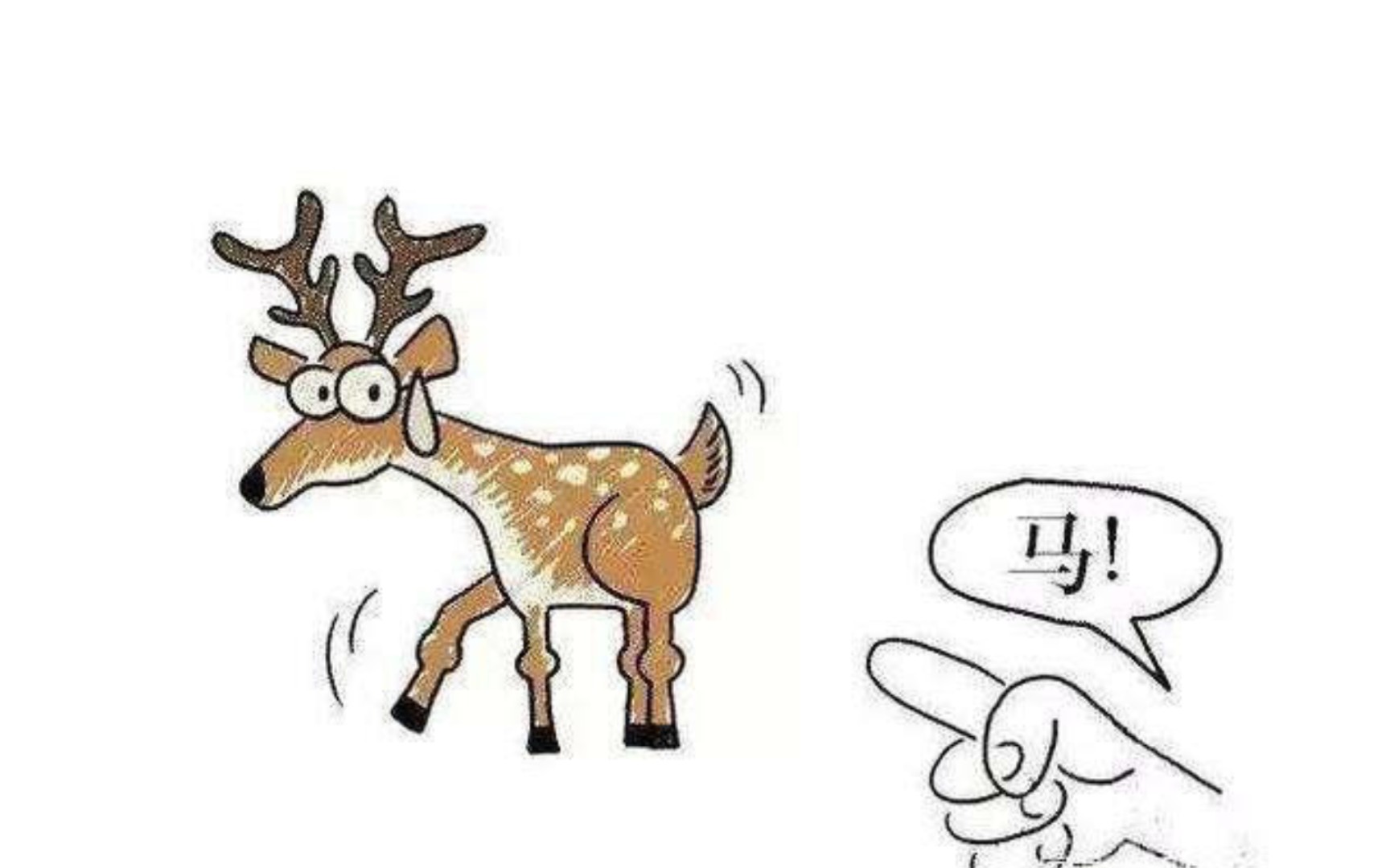 指东骂西代表猜一生肖，生肖智慧与策略的象征解读