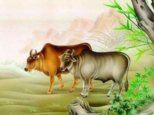 破壳新生，生肖蜕变之谜，探寻生肖奥秘中的新生与蜕变
