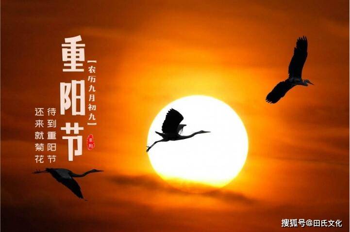 美景佳人夕阳红之下的生肖韵味，映照乾坤的生肖揭秘