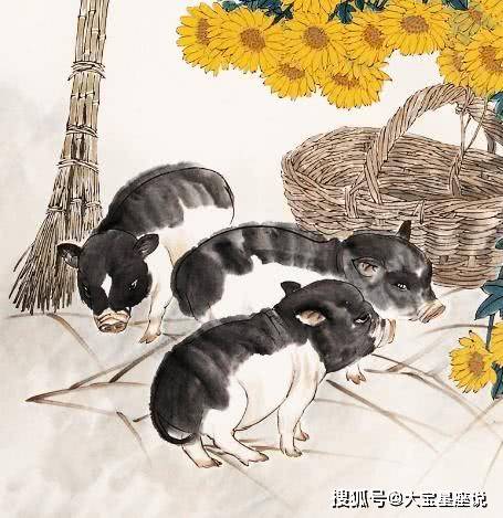 生肖猪的深远智慧，多多益善的探寻