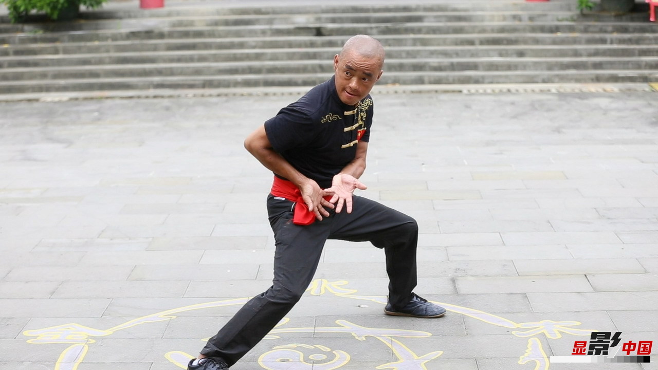 武术奥秘探寻，南拳北腿与生肖之谜