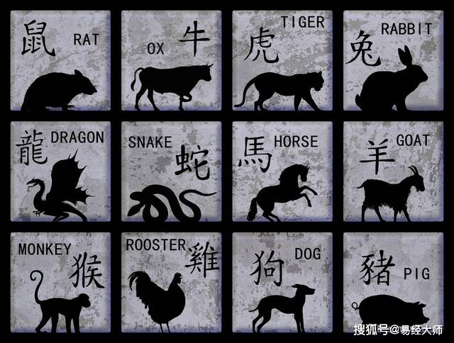 探寻神秘生肖之旅，心荡神驰的生肖揭晓！