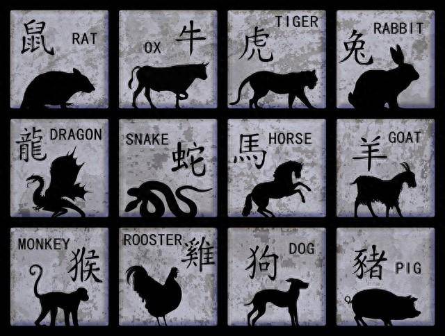 揭秘生肖神秘面纱，一生多变探寻西天之旅