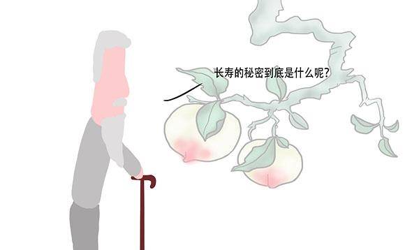 寿终正寝猜一生肖，揭秘生肖秘密