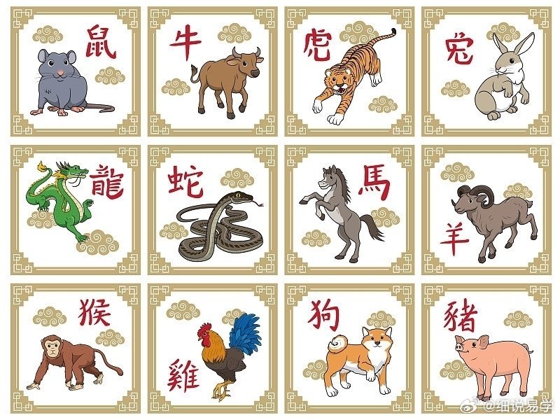故地重游探生肖奥秘，神秘魅力的探寻