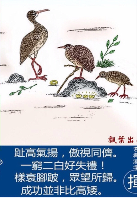 花飞蝶舞中的生肖之美，诗意探寻生肖奥秘