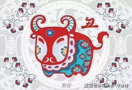 揭秘生肖智慧之星，人小鬼大猜一生肖的奥秘