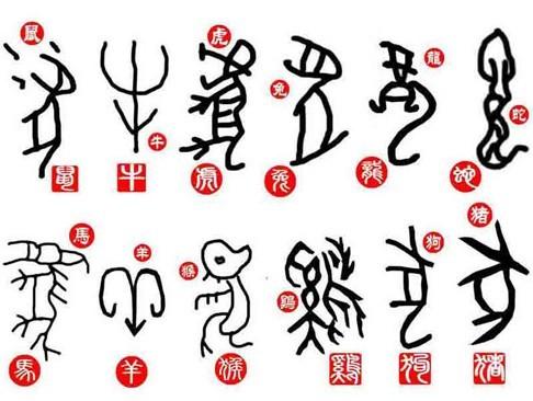 转面无情猜生肖揭秘