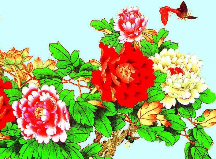 探寻生肖之美的神秘面纱，秋菊依簇揭示三二开之生肖