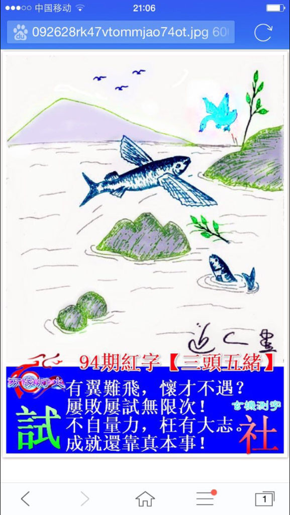 秋雨绵绵探生肖之谜，揭秘生肖文化中的神秘面纱
