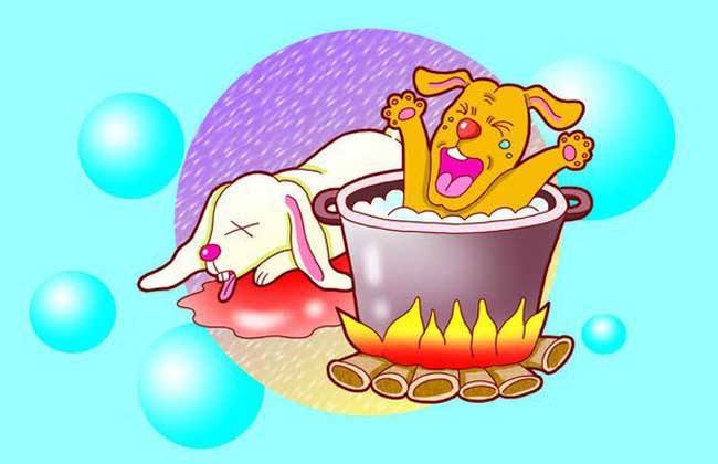 兔死狗烹背后的生肖故事与智慧揭秘