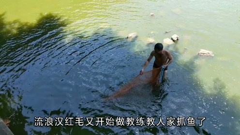 海口雨后徒手抓鱼的奇妙冒险