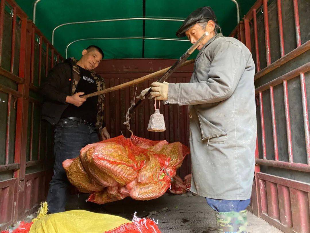 无人机助力村民祭祖，烧猪上山新科技方式